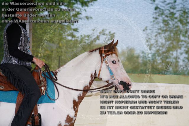 s_K3F08806.JPG